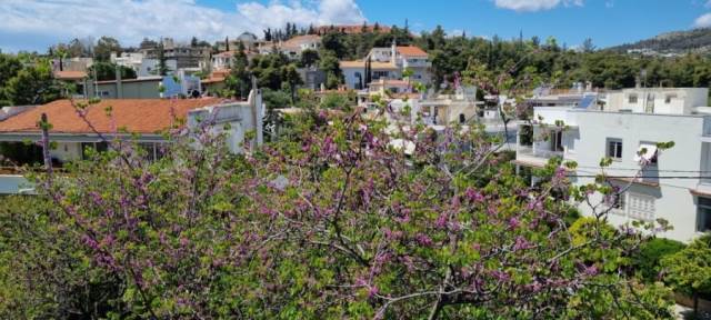 (Προς Πώληση) Κατοικία Ρετιρέ || Αθήνα Βόρεια/Φιλοθέη - 303 τ.μ, 1.500.000€ 