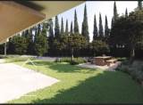slide1 thumbnail