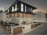 slide1 thumbnail
