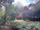 slide1 thumbnail