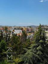 slide1 thumbnail