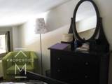 slide1 thumbnail