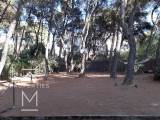 slide1 thumbnail