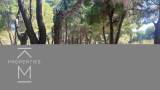 slide1 thumbnail